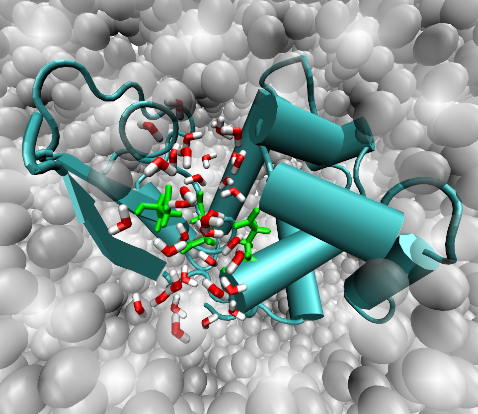 Dual-resolution simulation of a protein